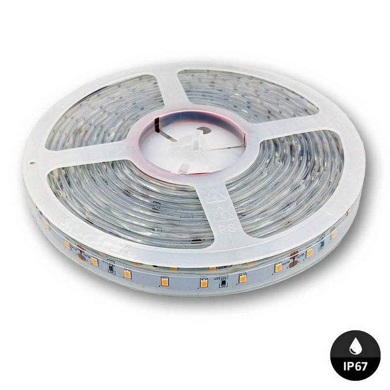 ΤΑΙΝΙΑ LED ΜΠΛΕ ΧΡΩΜΑ 24V (5m) Megaled